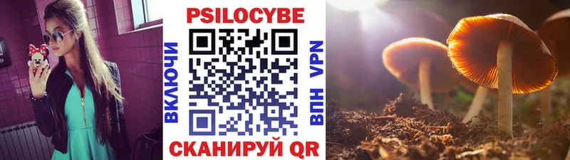 Псилоцибиновые грибы мицелий  Электроугли 